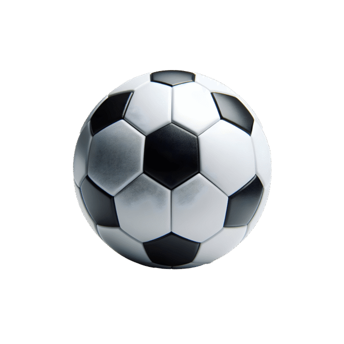 Leather Mini Football