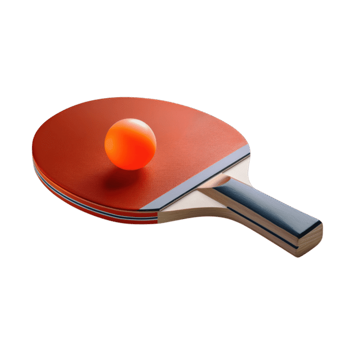 Table Tennis Set
